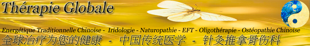 acupuncture, ostopathie chinoise, naturopathie , technique quantique, thrapie quantique, rosires 07260 